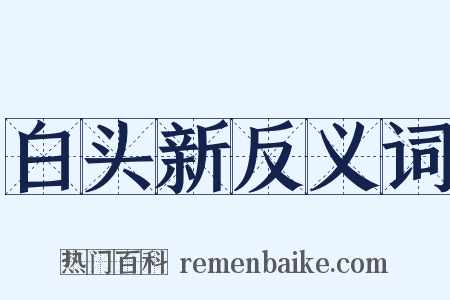 白头新反义词是什么意思的图片